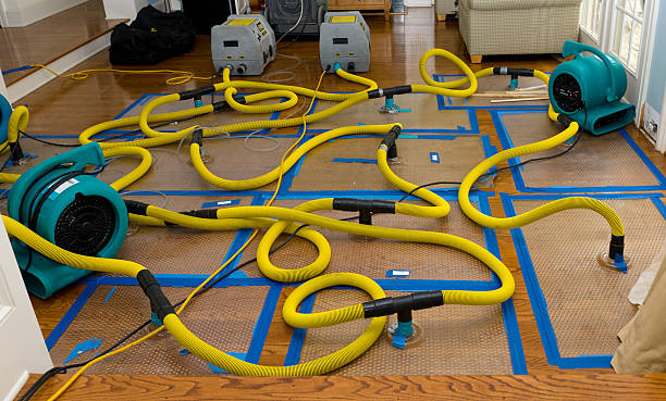 Professional Crawl Space Water Removal technician working in New Caney, TX